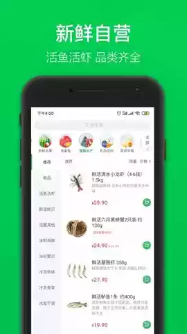 叮咚买菜苹果手机app