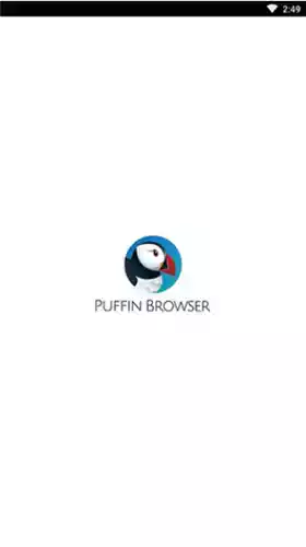 puffin浏览器2021最新版