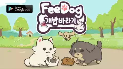 feedog游戏