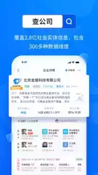 天眼查信用查询破解APP