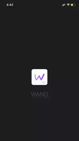 wand正版