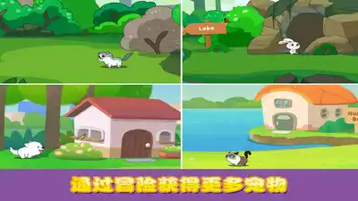 迷你校园口袋猫狗