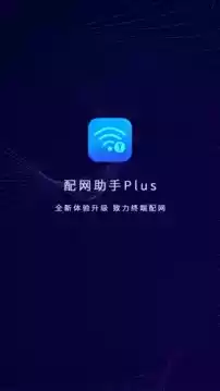 配网助手plus