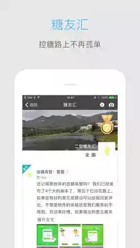 血糖高管app